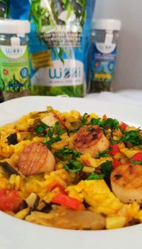 testemunho marca wissi1